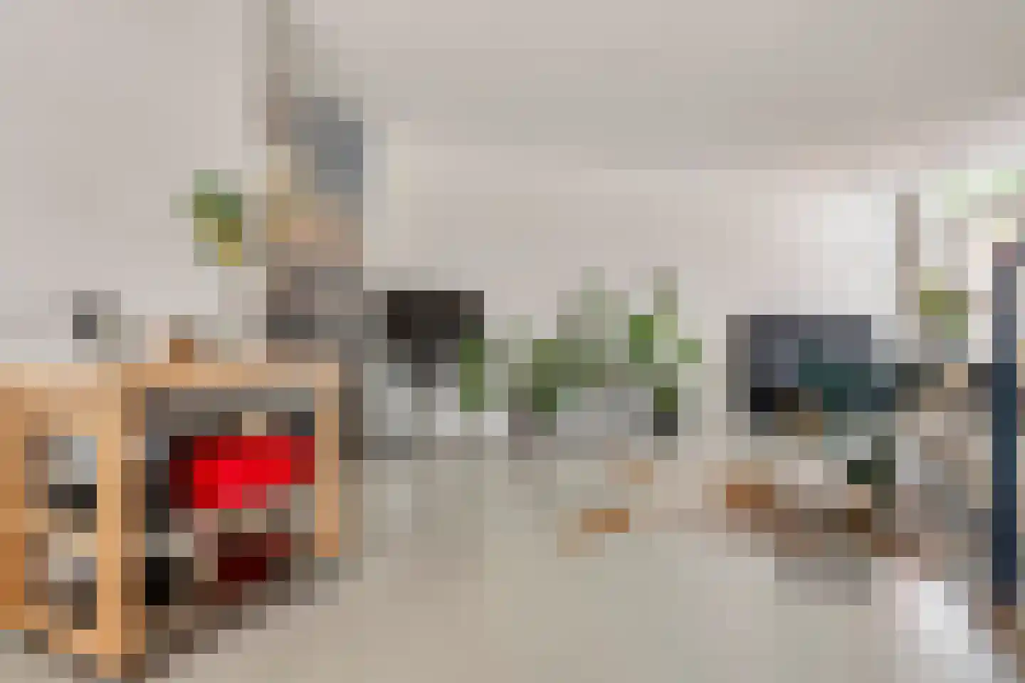 Oostwal 6 A 's-Hertogenbosch thumbnail 8
