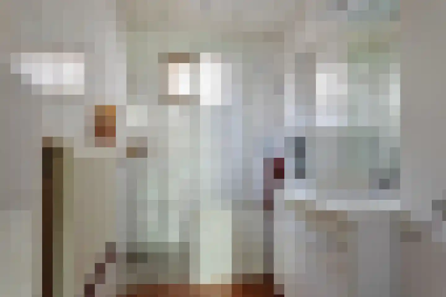 Oostwal 7 Oldenzaal thumbnail 11