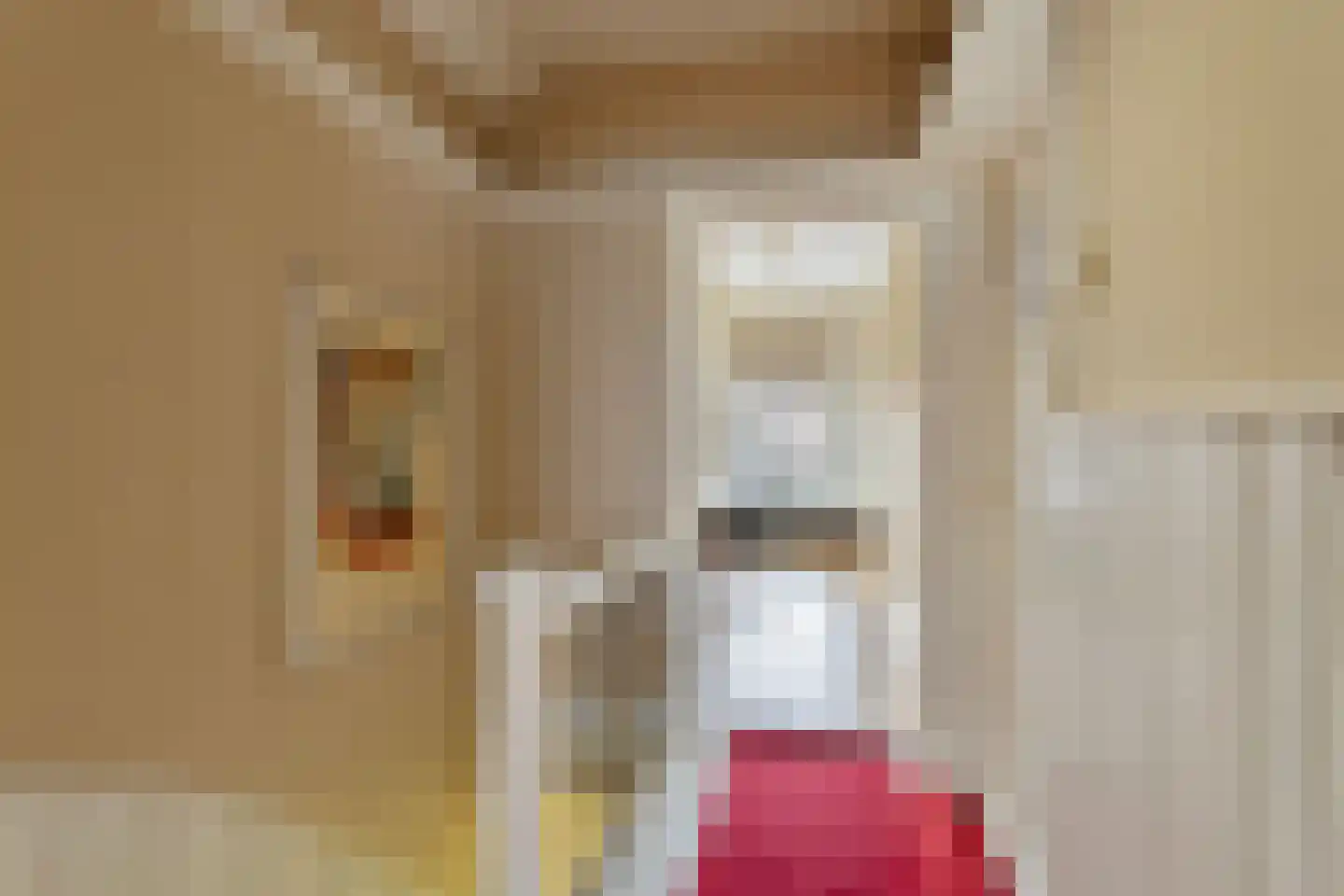 Oostwal 7 Oldenzaal thumbnail 13