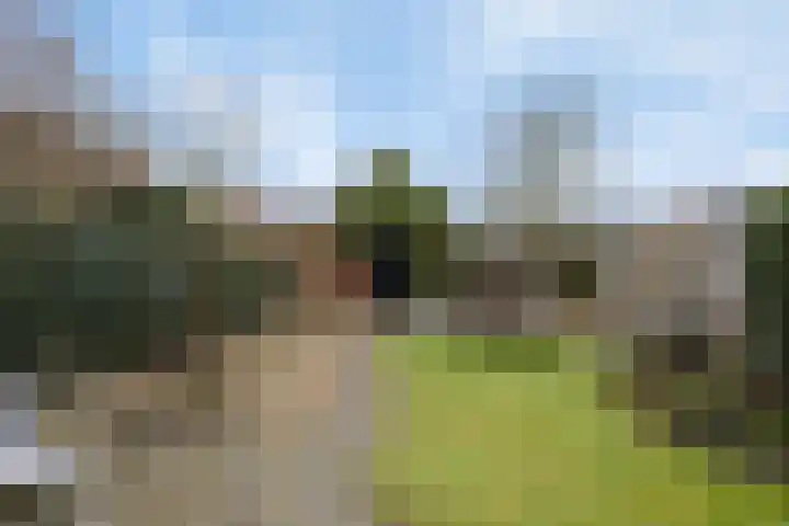Oostwal 7 Oldenzaal thumbnail 19