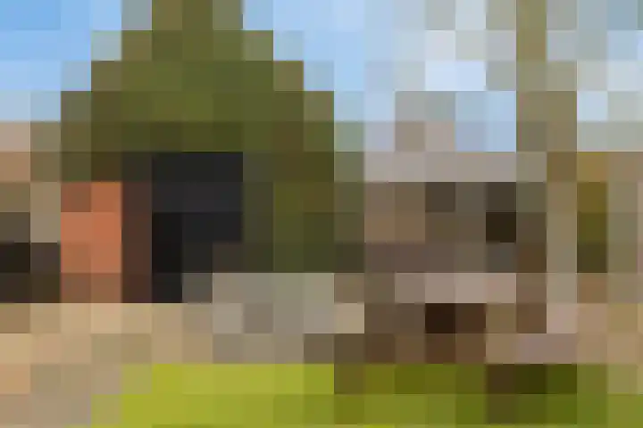 Oostwal 7 Oldenzaal thumbnail 20