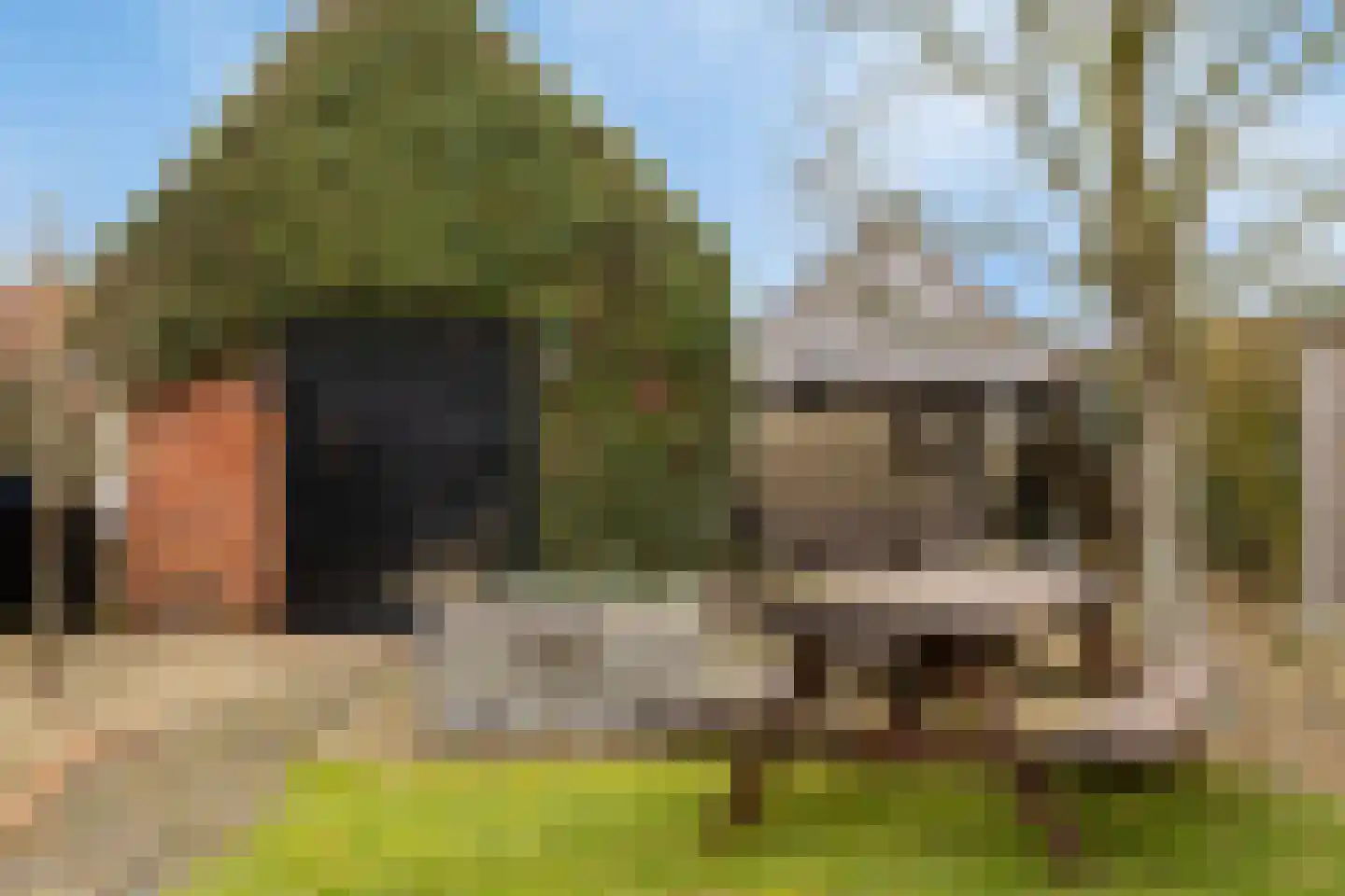 Oostwal 7 Oldenzaal thumbnail 20