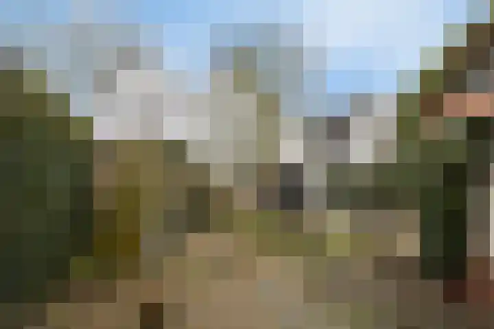 Oostwal 7 Oldenzaal thumbnail 22