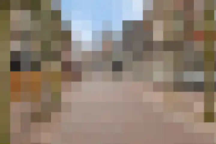 Oostwal 7 Oldenzaal thumbnail 24