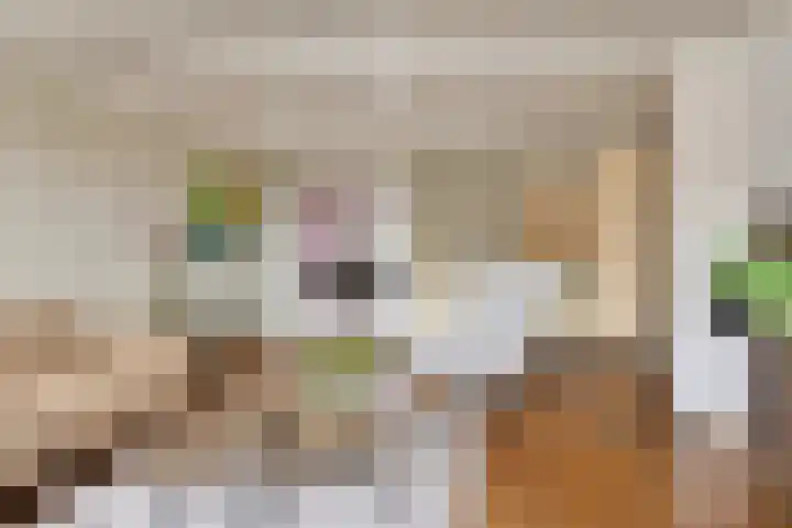 Oostwal 7 Oldenzaal thumbnail 4