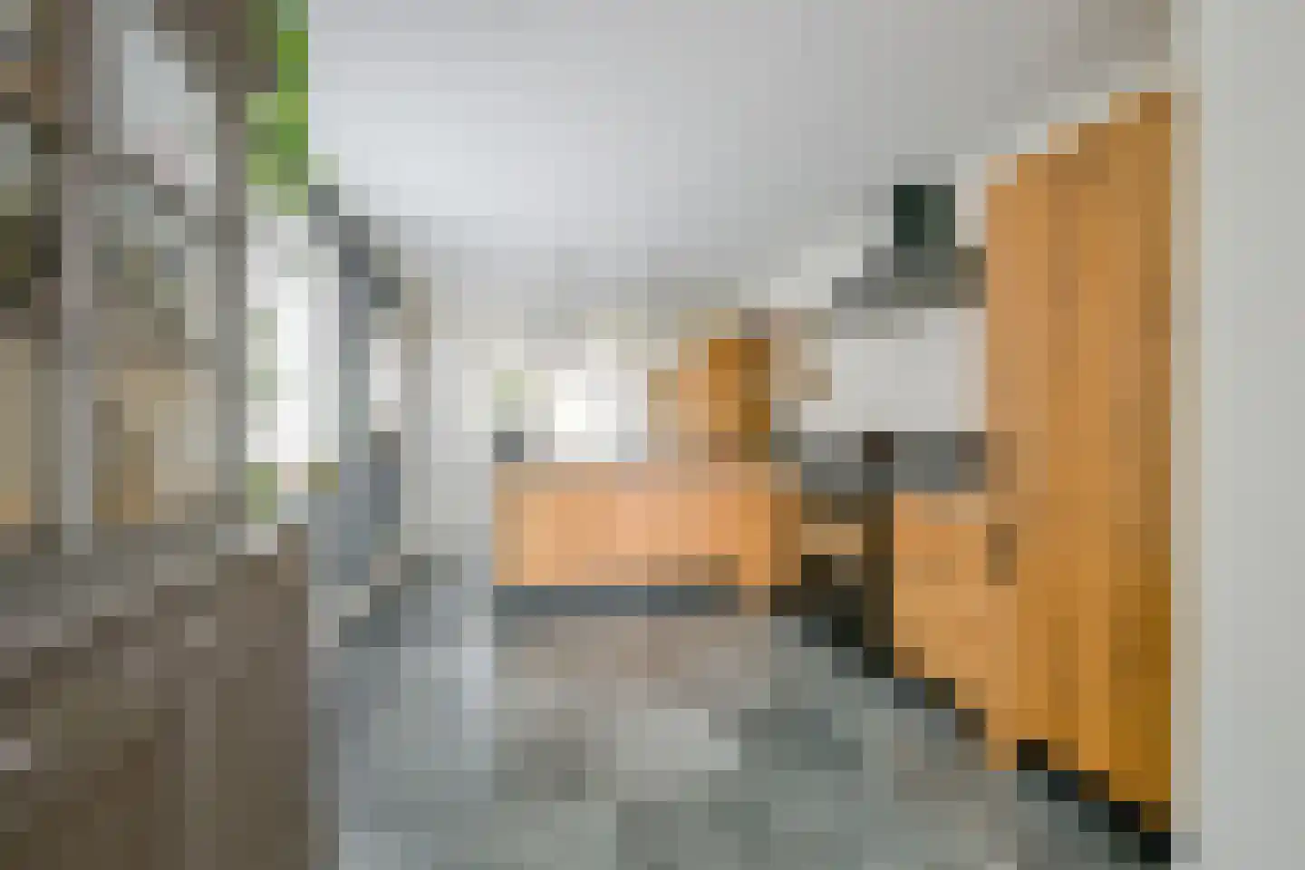 Oostwal 73 Warmenhuizen thumbnail 13