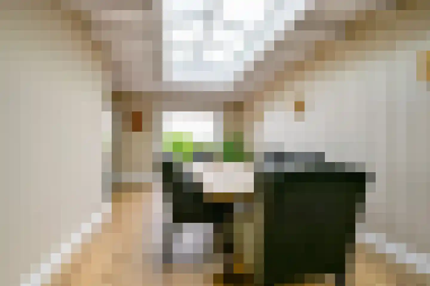 Oostwal 73 Warmenhuizen thumbnail 15