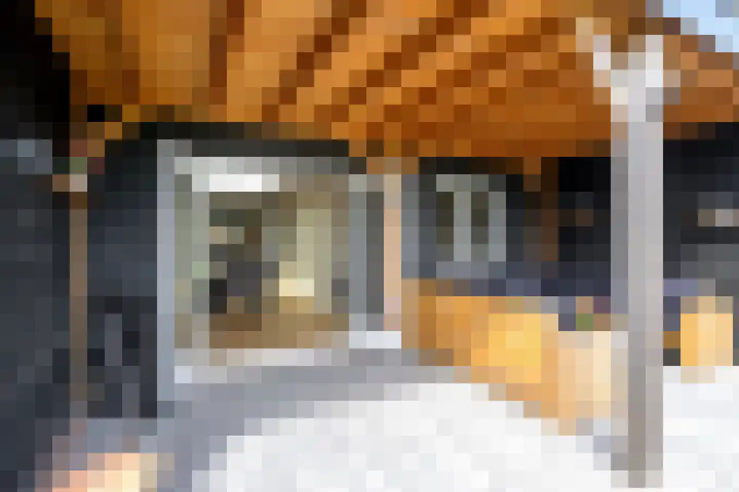 Oostwal 73 Warmenhuizen thumbnail 16