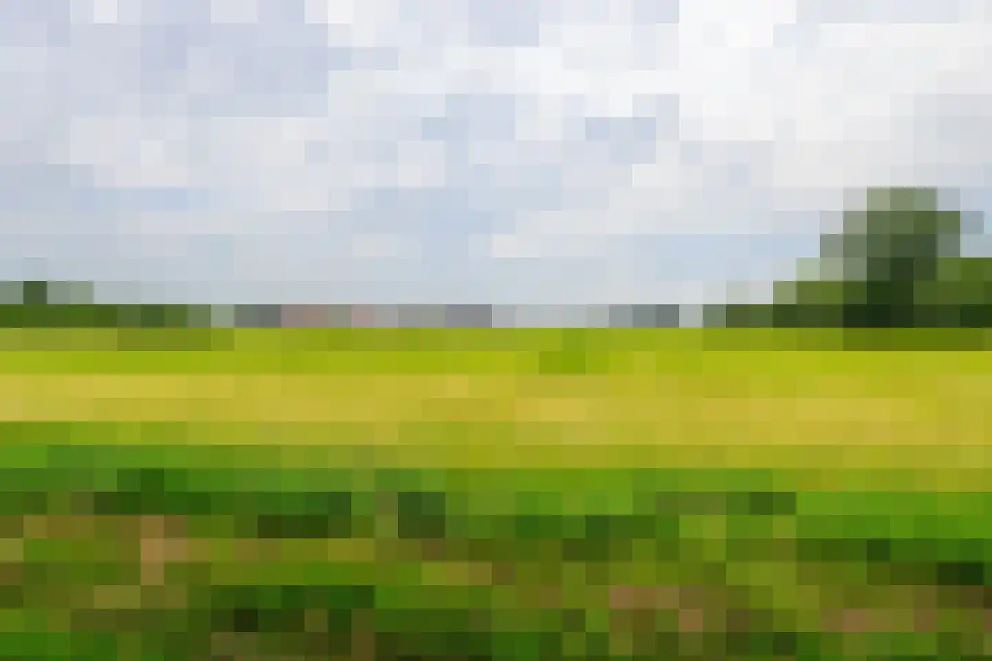 Oostwal 73 Warmenhuizen thumbnail 19
