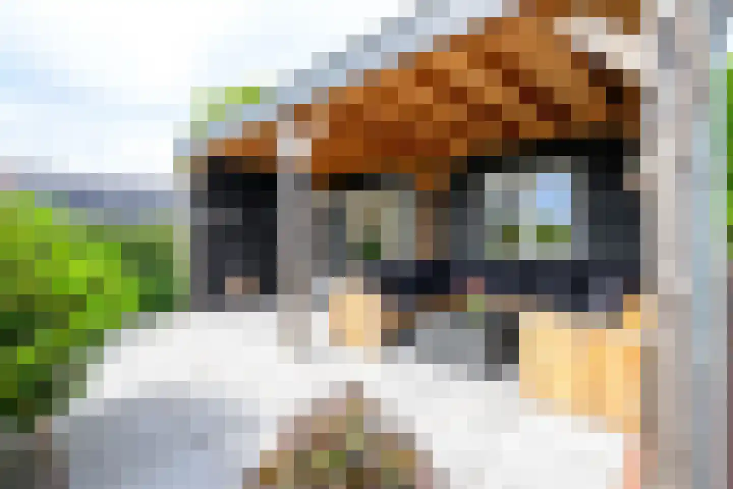 Oostwal 73 Warmenhuizen thumbnail 23