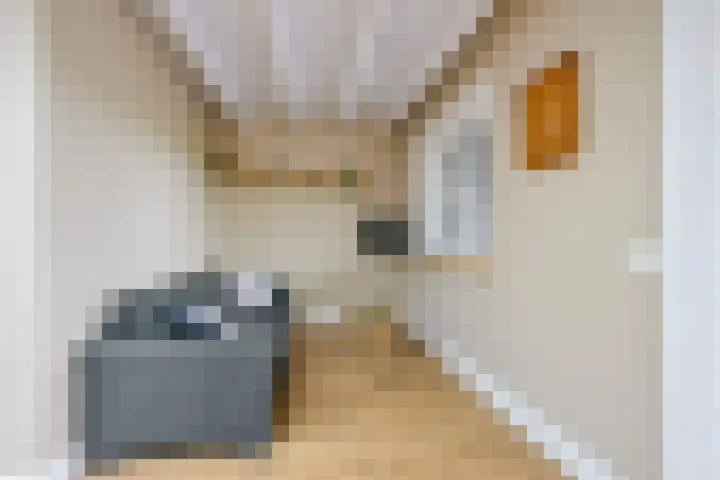Oostwal 73 Warmenhuizen thumbnail 26