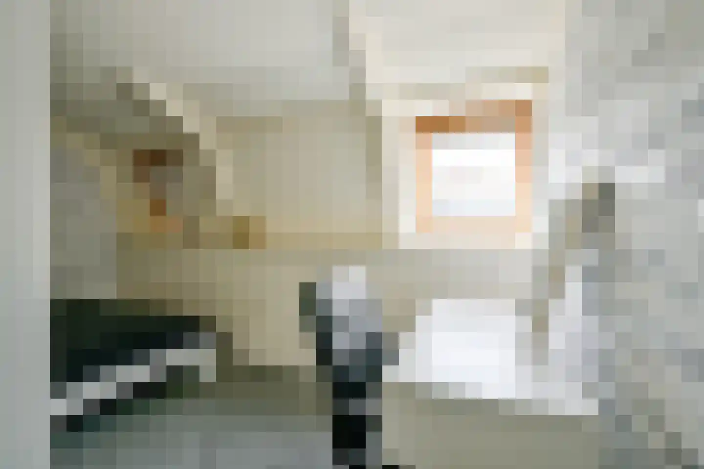 Oostwal 73 Warmenhuizen thumbnail 36