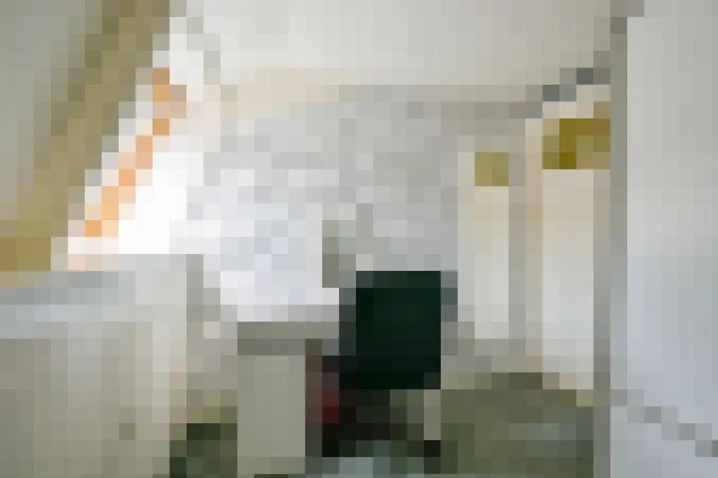 Oostwal 73 Warmenhuizen thumbnail 37