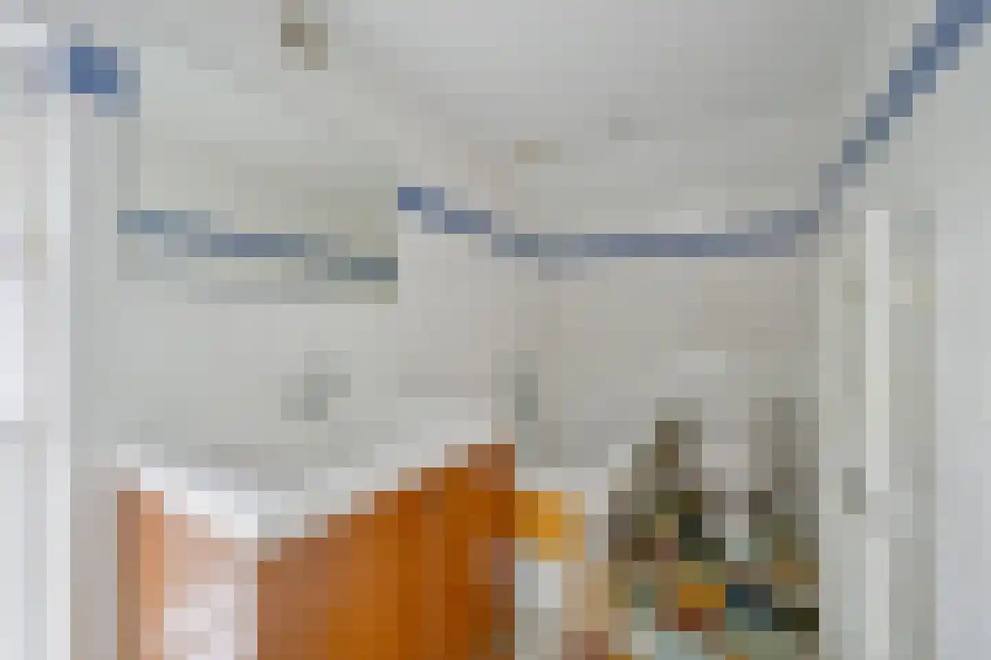Oostwal 73 Warmenhuizen thumbnail 39