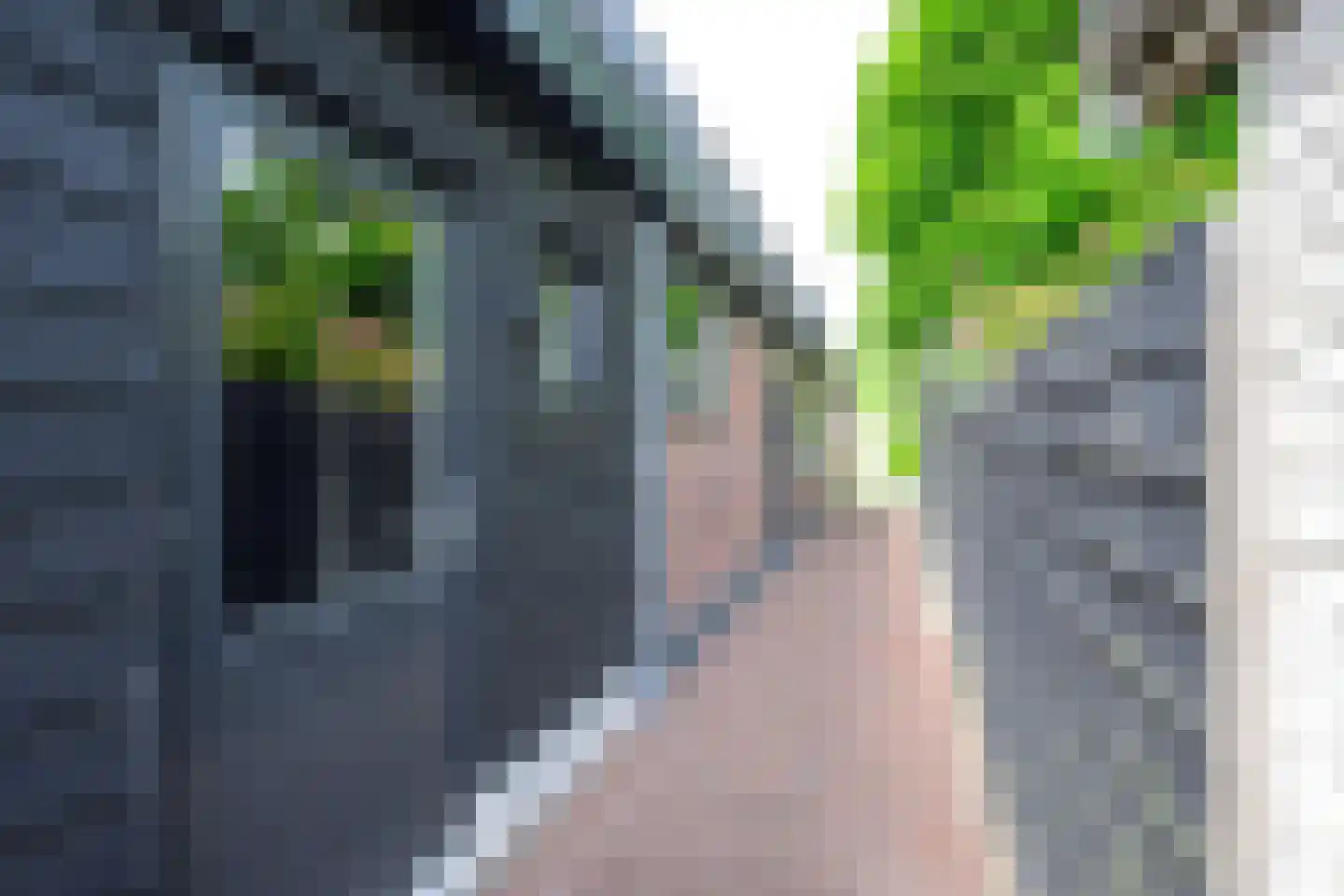 Oostwal 73 Warmenhuizen thumbnail 43