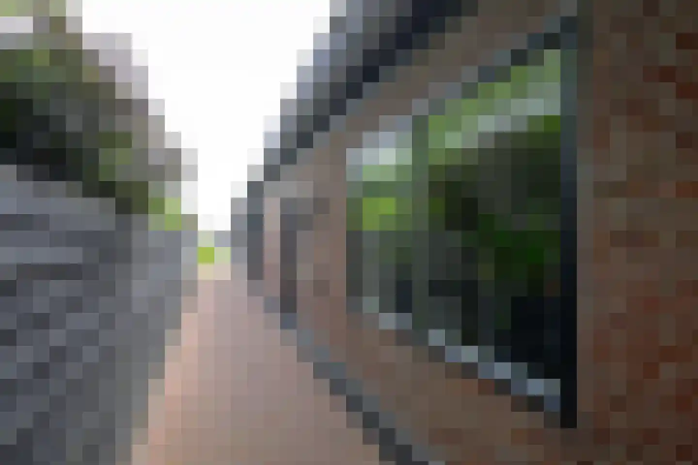Oostwal 73 Warmenhuizen thumbnail 6