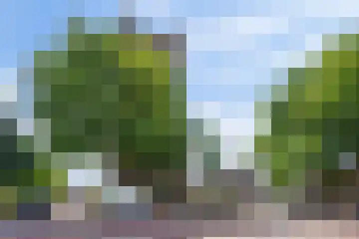Oostwal 8 's-Hertogenbosch thumbnail 45