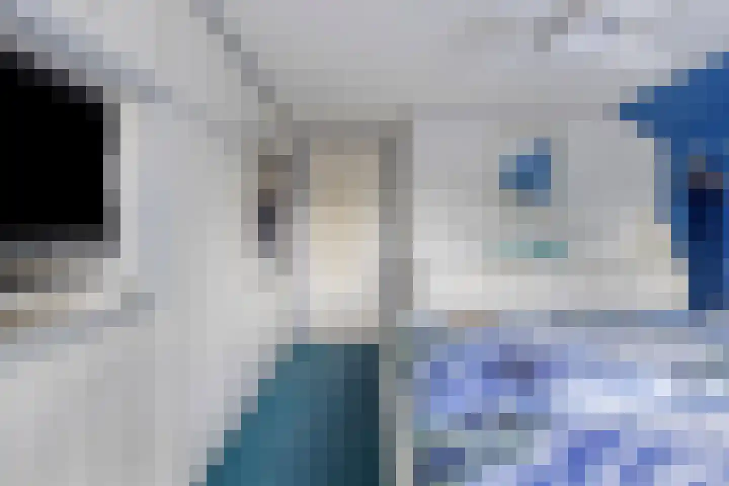 Oostwal 83 Warmenhuizen thumbnail 21