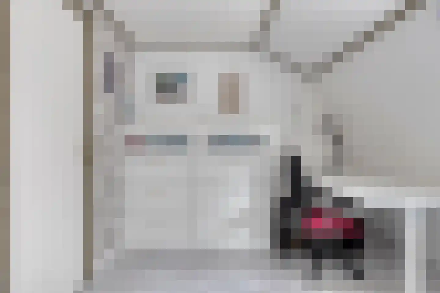 Oostwal 83 Warmenhuizen thumbnail 25