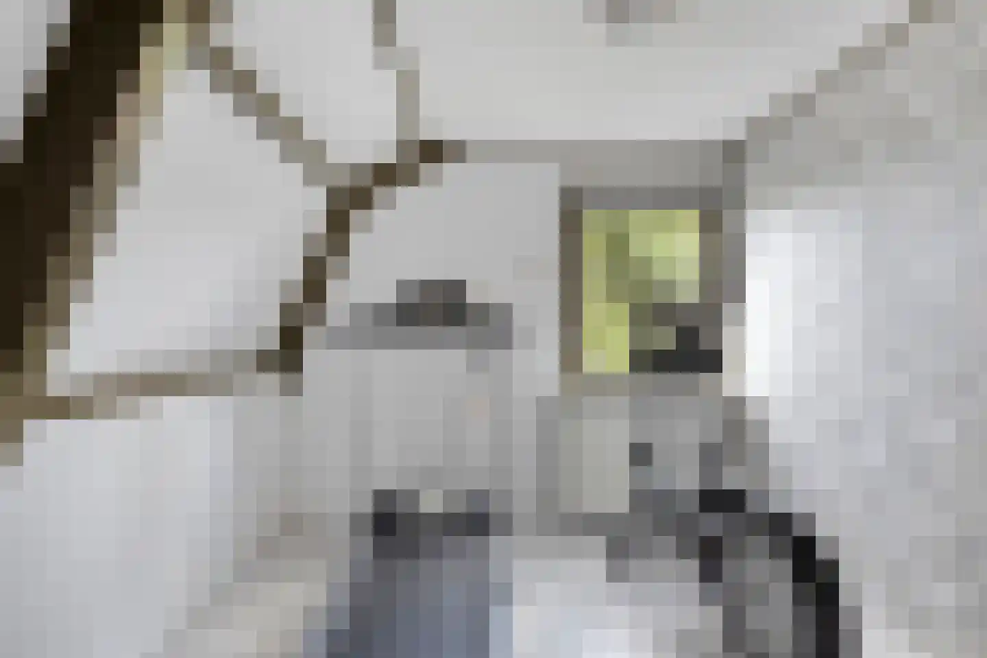 Oostwal 83 Warmenhuizen thumbnail 26