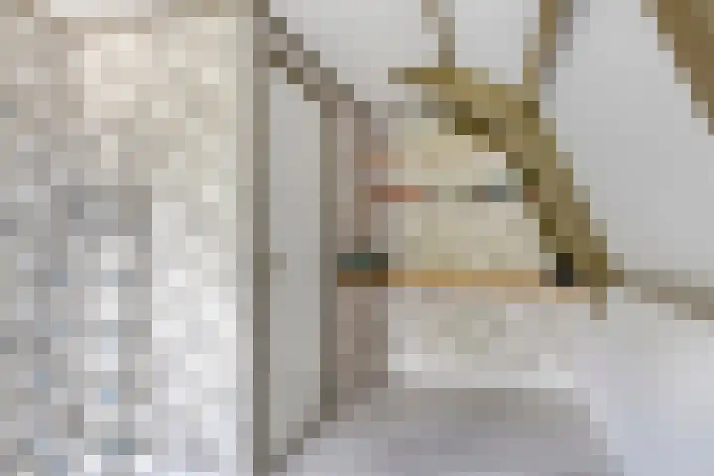 Oostwal 83 Warmenhuizen thumbnail 27