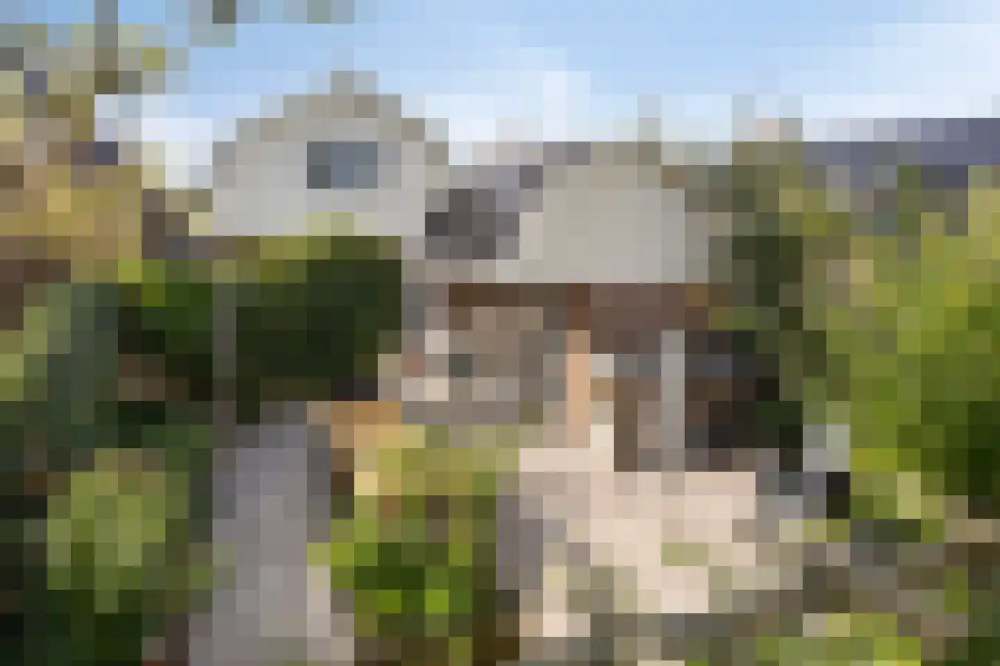 Oostwal 83 Warmenhuizen thumbnail 32