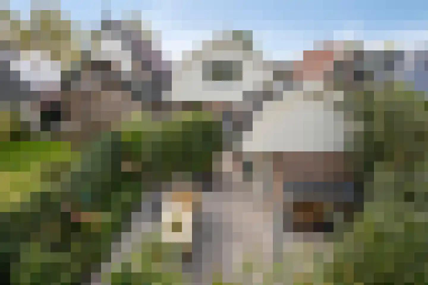 Oostwal 83 Warmenhuizen thumbnail 33