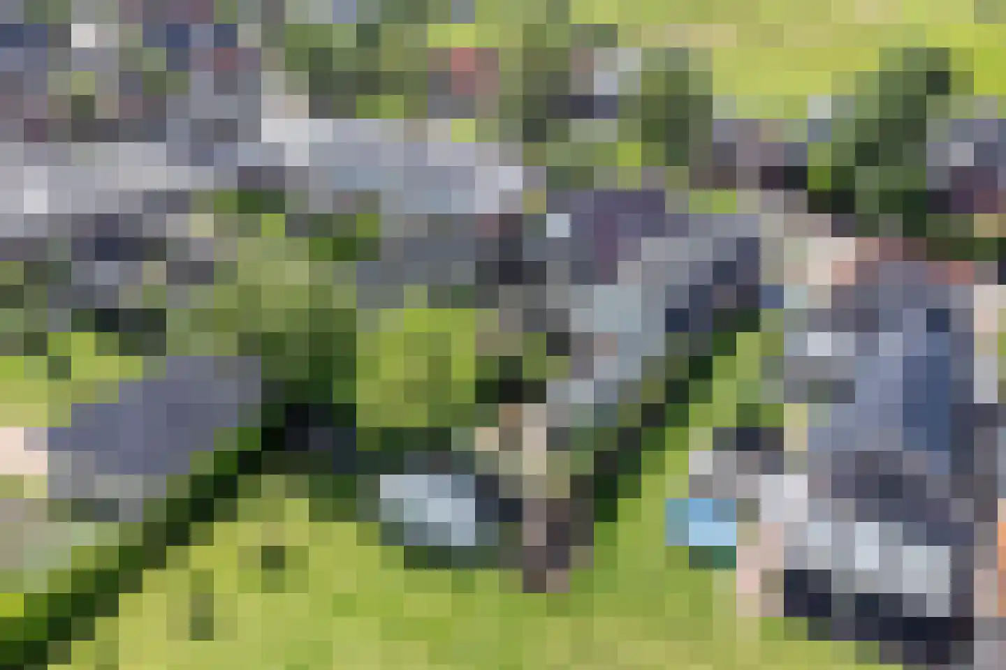 Oostwal 83 Warmenhuizen thumbnail 51