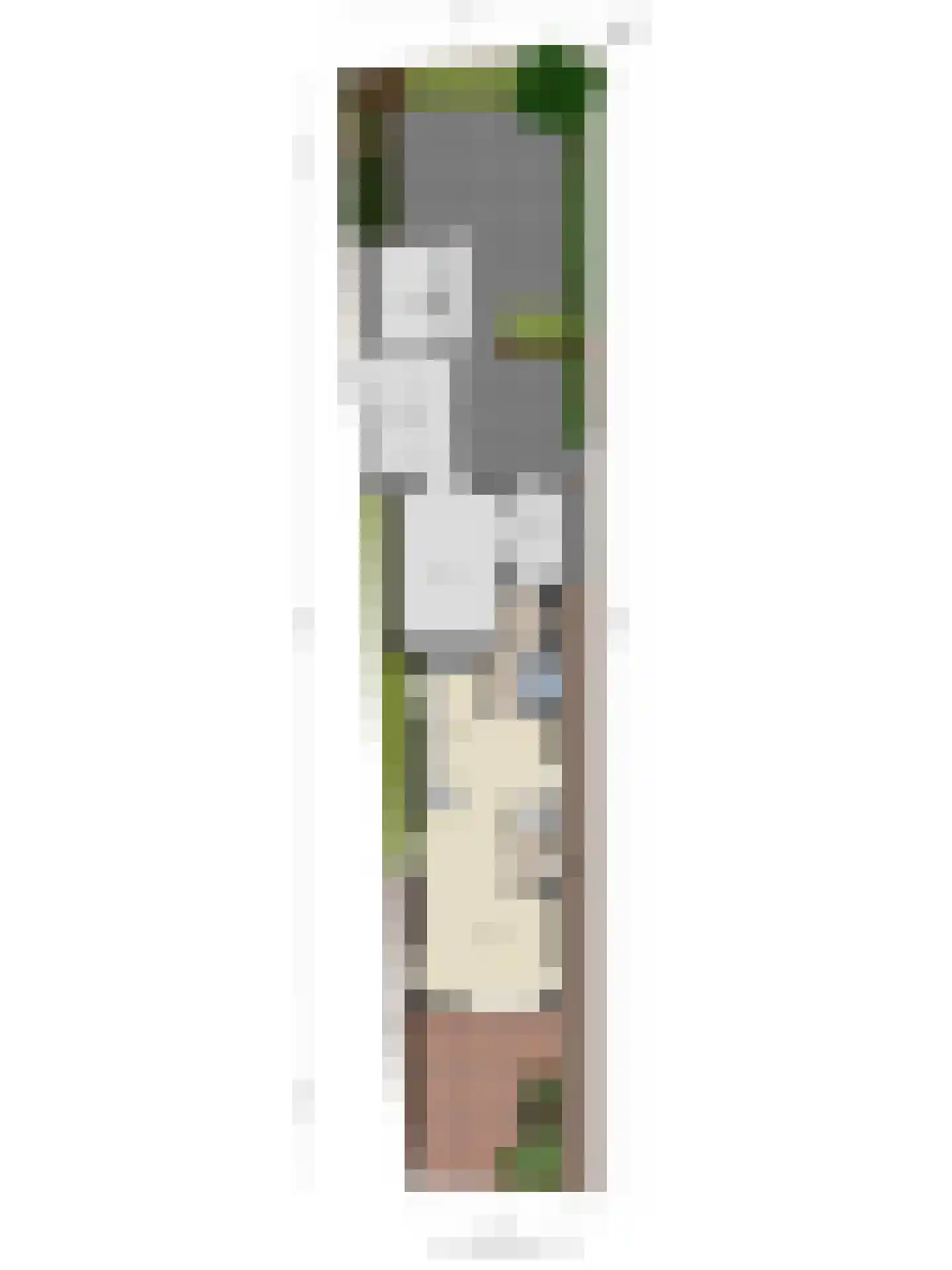 Oostwal 83 Warmenhuizen thumbnail 55