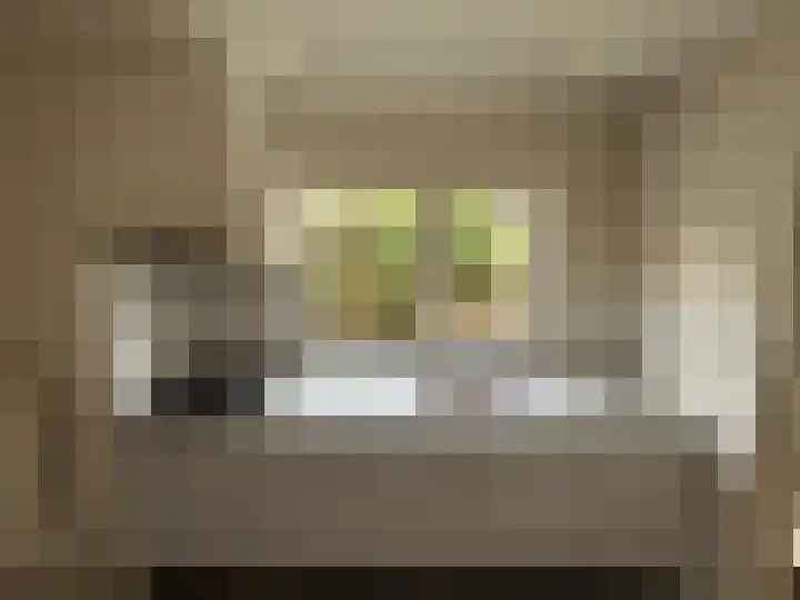 Oostwal 89 Warmenhuizen thumbnail 11