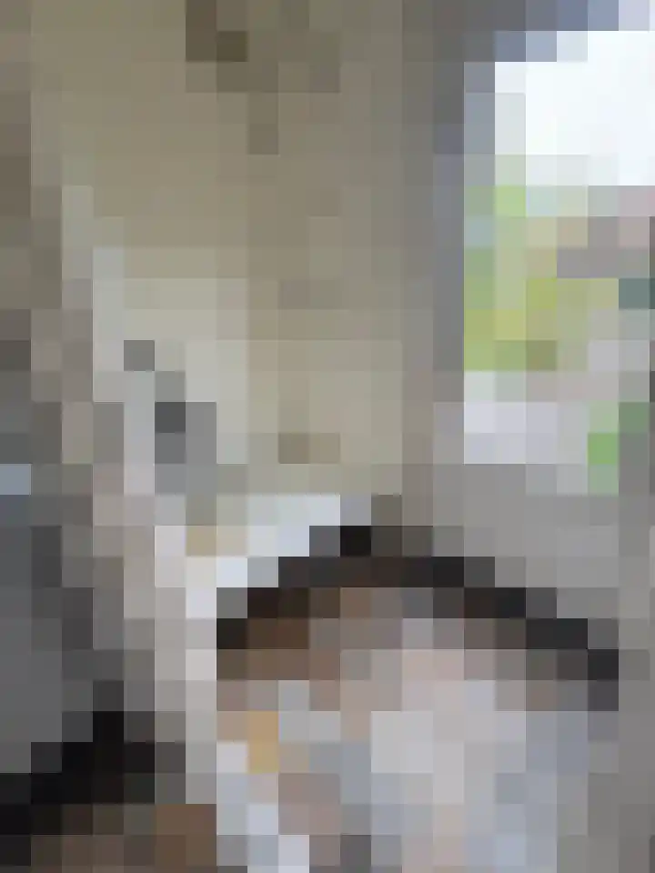 Oostwal 89 Warmenhuizen thumbnail 13