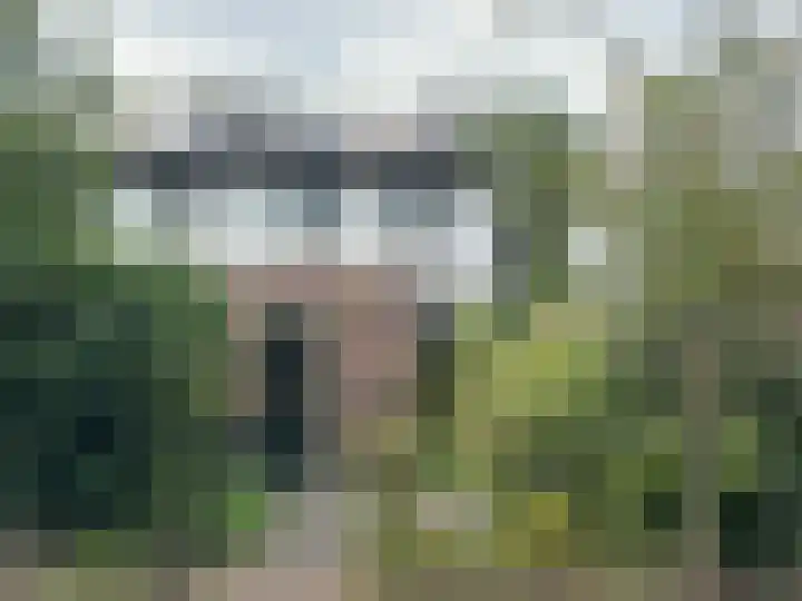 Oostwal 89 Warmenhuizen thumbnail 16
