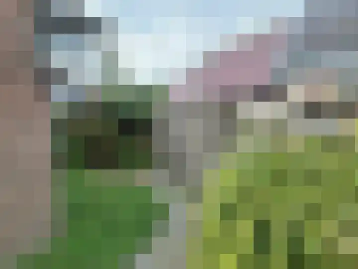 Oostwal 89 Warmenhuizen thumbnail 19