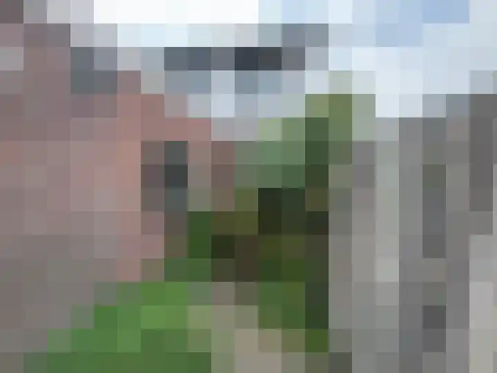 Oostwal 89 Warmenhuizen thumbnail 20