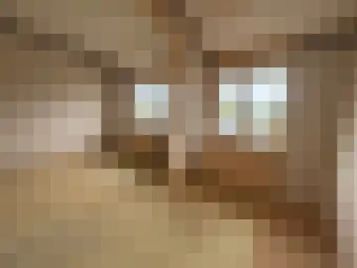 Oostwal 89 Warmenhuizen thumbnail 23
