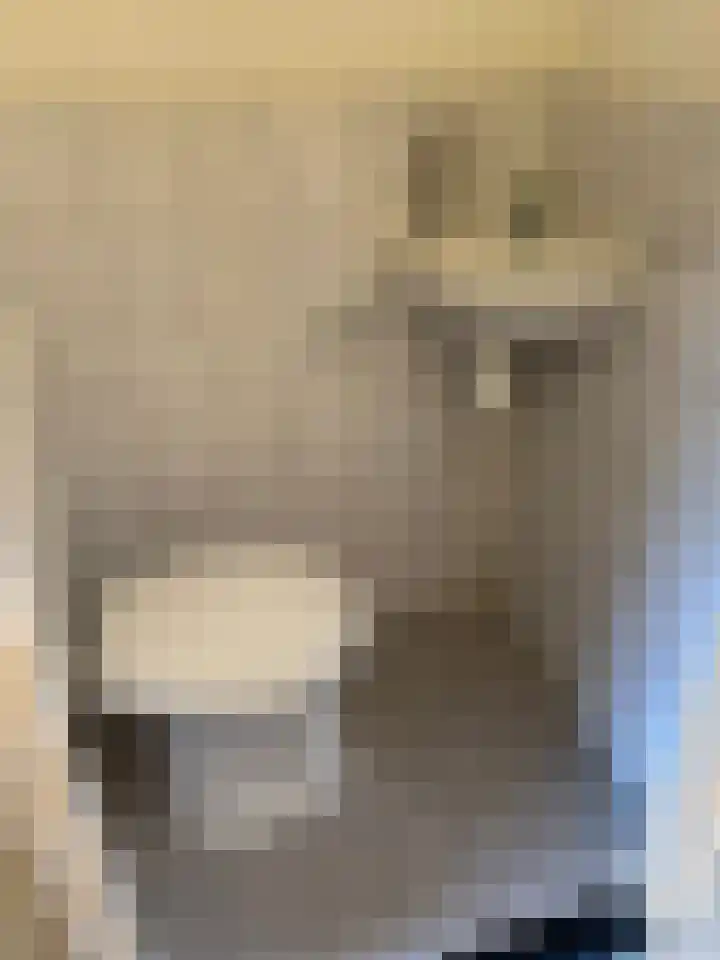 Oostwal 89 Warmenhuizen thumbnail 6