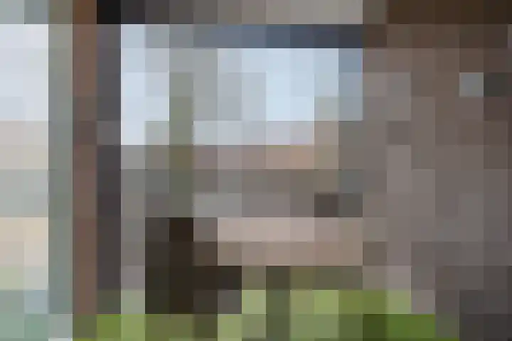 Oostwal 9 AP10 Oldenzaal thumbnail 13