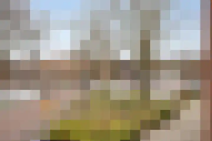 Oostwal 9 AP10 Oldenzaal thumbnail 25