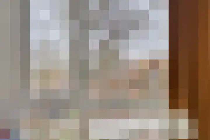Oostwal 9 AP10 Oldenzaal thumbnail 7