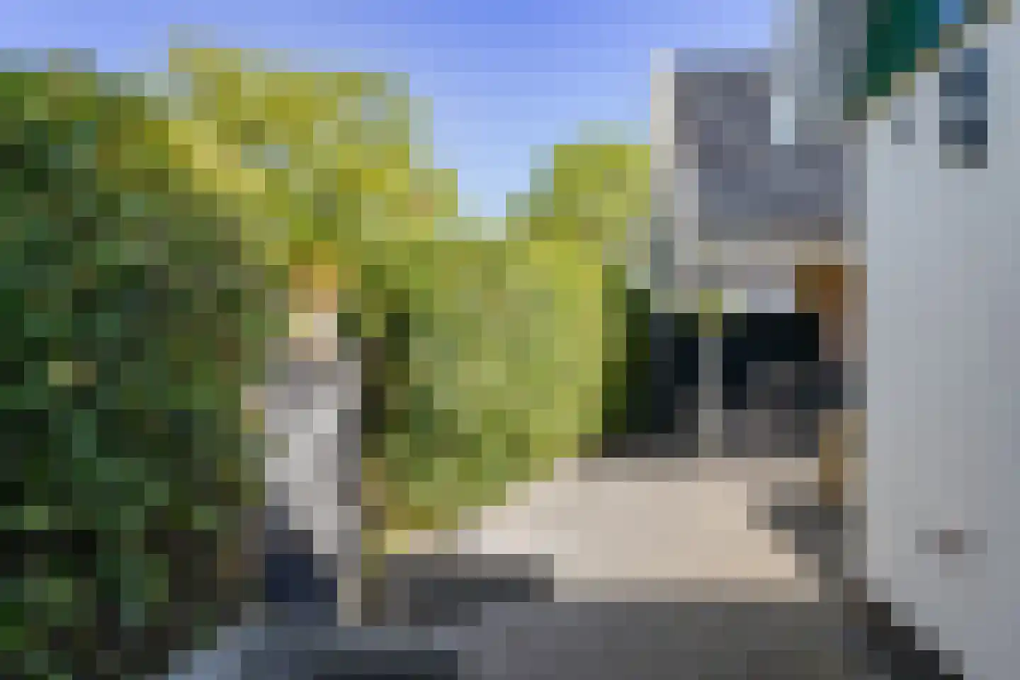 Oostwal 96 Warmenhuizen thumbnail 24