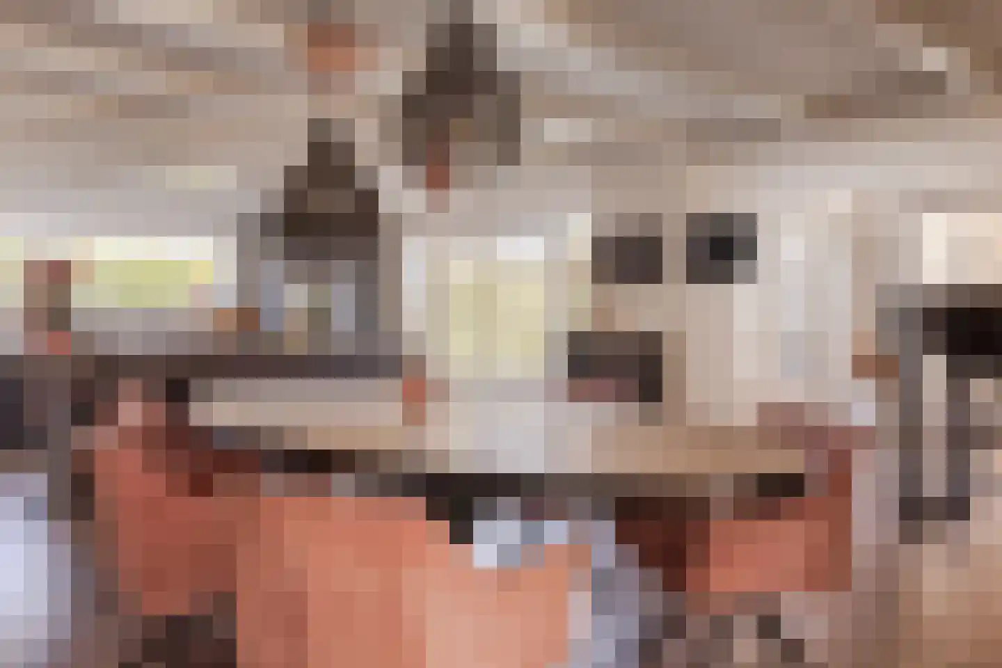 Oostwal 96 Warmenhuizen thumbnail 4