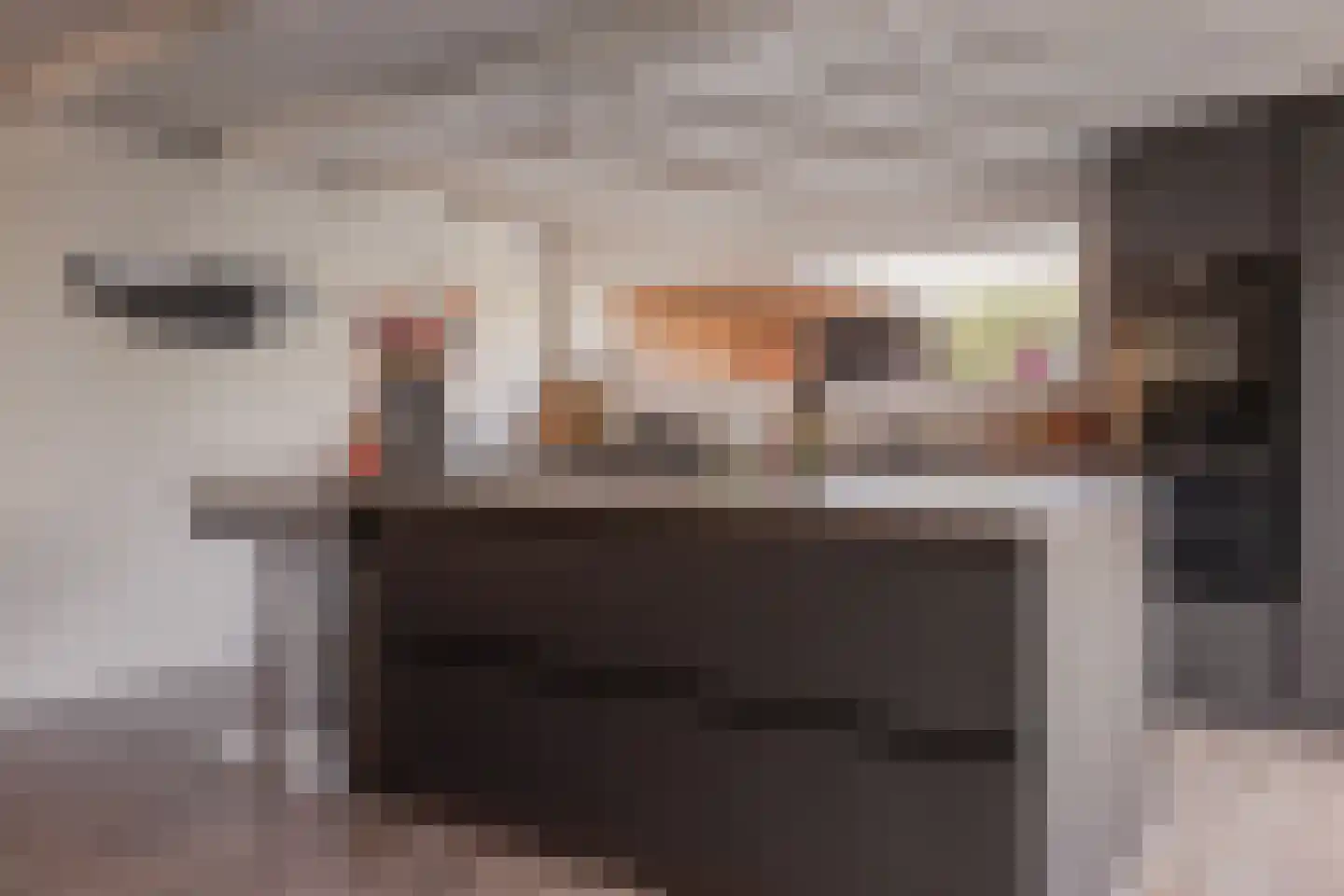 Oostwal 96 Warmenhuizen thumbnail 5