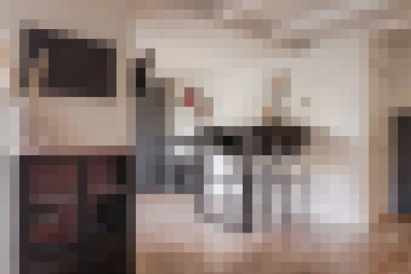 Oostwal 96 Warmenhuizen thumbnail 8
