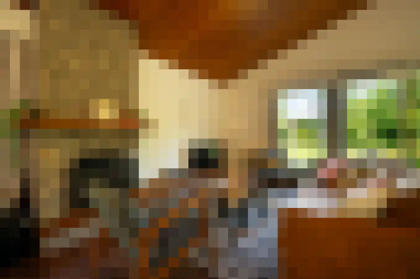 Oostweg 2 0046 Ouwerkerk thumbnail 9