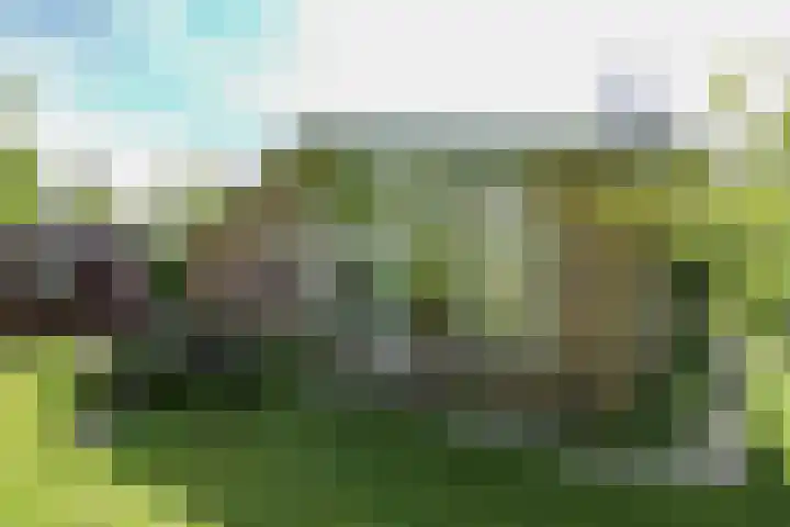 Oostweg 2 0117 Ouwerkerk thumbnail 16
