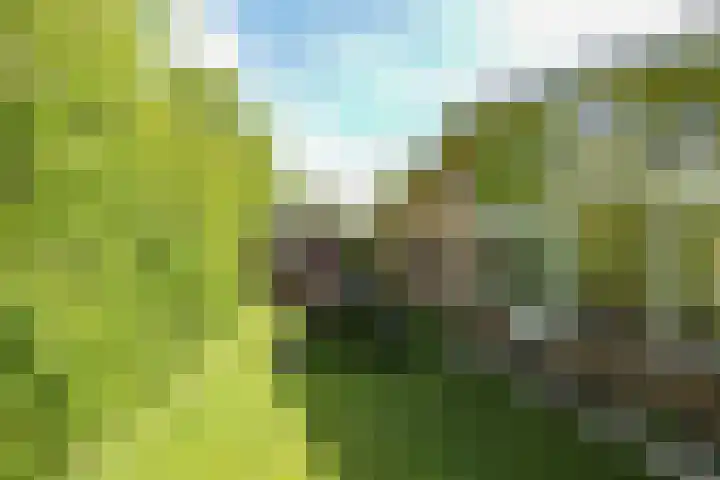 Oostweg 2 0117 Ouwerkerk thumbnail 17