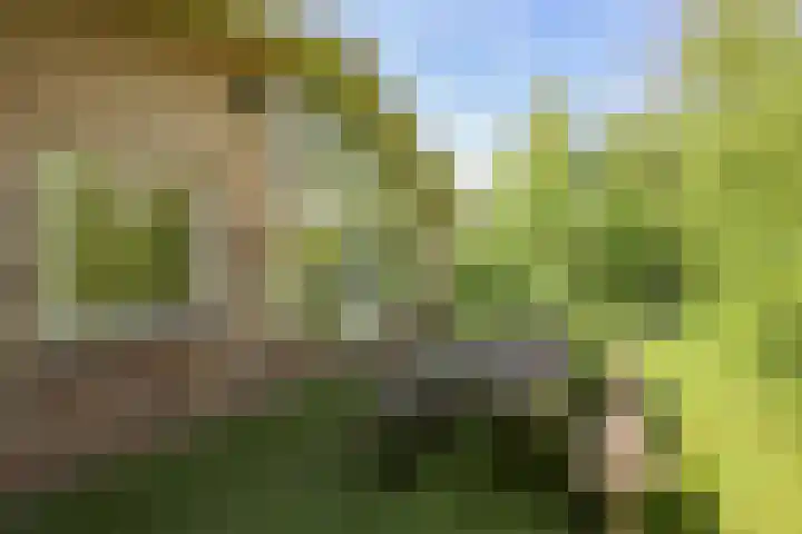 Oostweg 2 0117 Ouwerkerk thumbnail 18