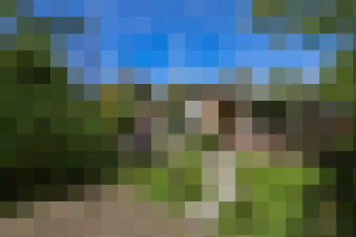 Oostweg 2 0117 Ouwerkerk thumbnail 23