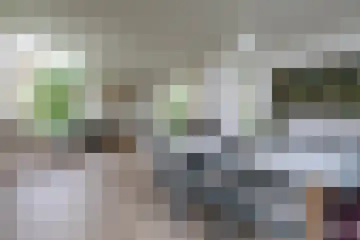 Oostweg 2 0117 Ouwerkerk thumbnail 8