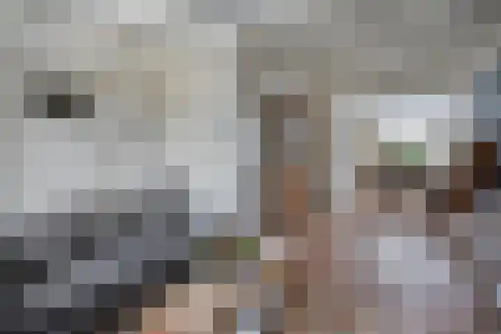 Oostweg 3 Kapelle thumbnail 15
